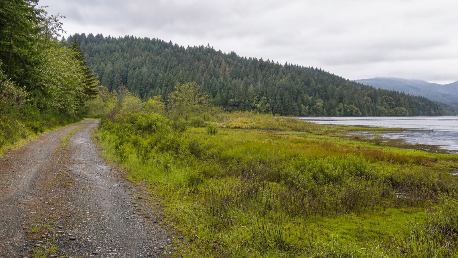 Open Washington land access road near Chelan