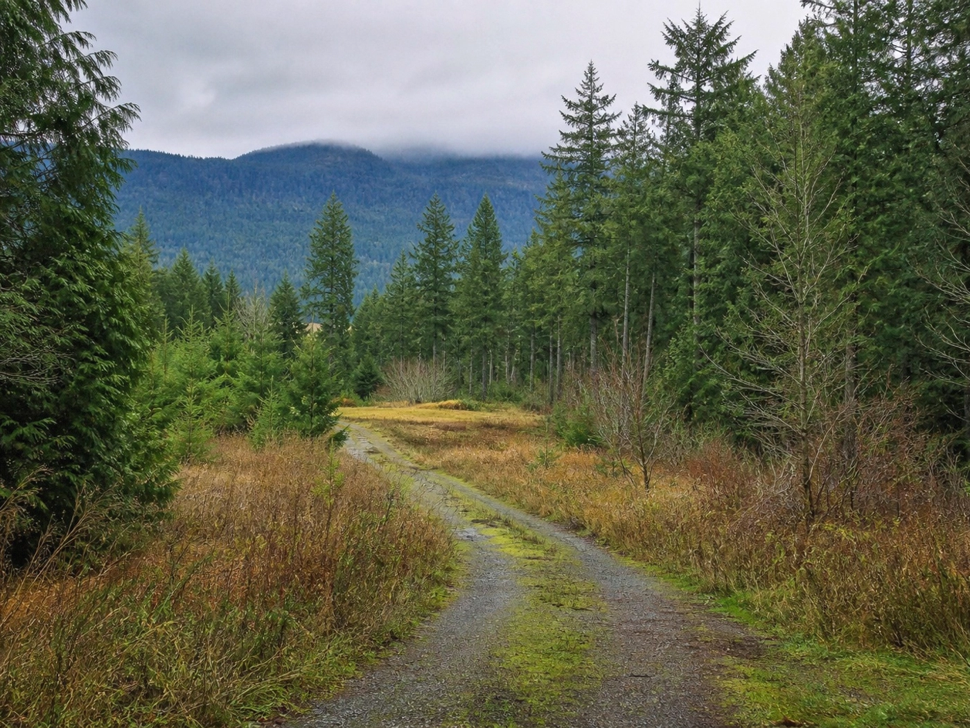 Rural Access Parcels in Chelan